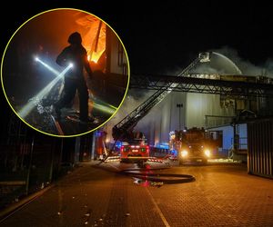 Ogromny pożar hali przetwórni drobiu. Z ogniem walczy 120 strażaków. Jeden z nich zaginął i jest poszukiwany