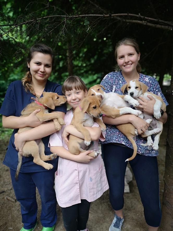 Bimber osłodzi ci życie