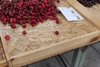 Ceny owoców i warzyw w Toruniu mocno w dół. Czereśnie zaskakująco tanie!