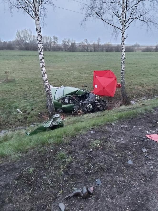 Wypadek śmiertelny w Horodniance. Kierowca opla zginął na miejscu [ZDJĘCIA]