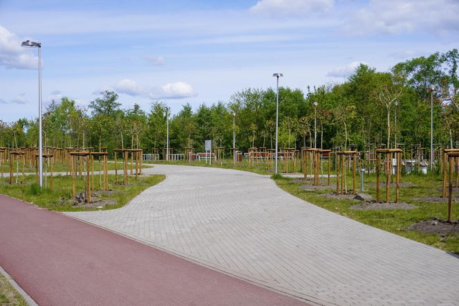 Miasto Piła