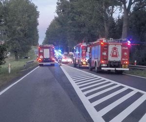 Przytoczna. Śmiertelny wypadek na DK 24. 49-latek nie żyje [ZDJĘCIA].