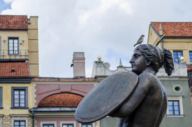TOP 10 miejsc w Warszawie dla rodzin z dziećmi