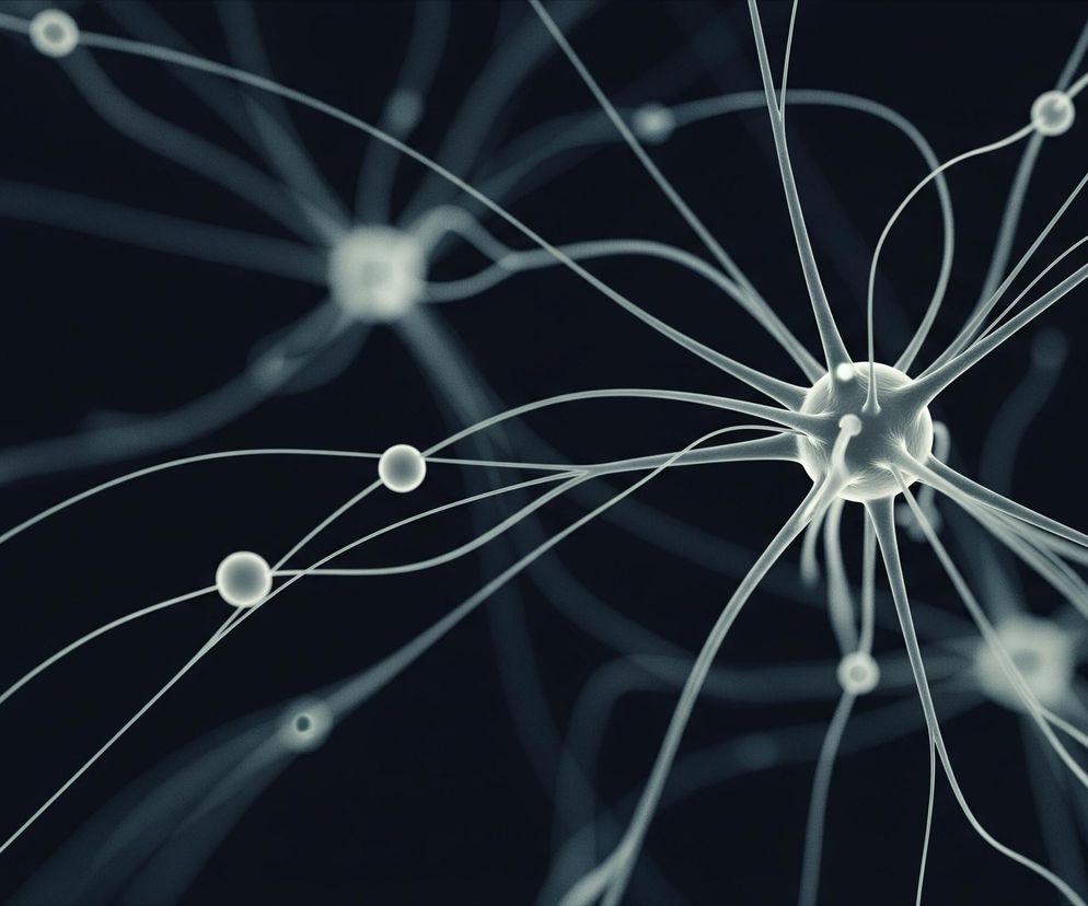 Układ wzajemnie połączonych struktur przypominających komórki nerwowe. Na pierwszym planie, w prawej części obrazu, znajduje się wyraźnie oświetlona, nieregularna sfera z licznymi, cienkimi odgałęzieniami rozchodzącymi się w różnych kierunkach. Niektóre z tych odgałęzień posiadają na swojej długości mniejsze, kuliste zgrubienia, które również są jaśniejsze. W tle, częściowo niewyraźne, widoczne są podobne struktury, utrzymane w ciemniejszej, stonowanej kolorystyce szarości i błękitu, na niemal czarnym tle. Całość tworzy dynamiczną, trójwymiarową kompozycję.