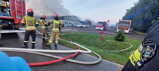 Pożar w magazynie firmy spożywczej. Słup ognia i dymu widać z daleka. 200 strażaków walczy z płomieniami