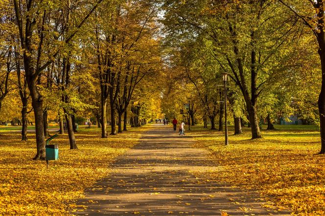 Park Śląski jesienią jest naprawdę piękny