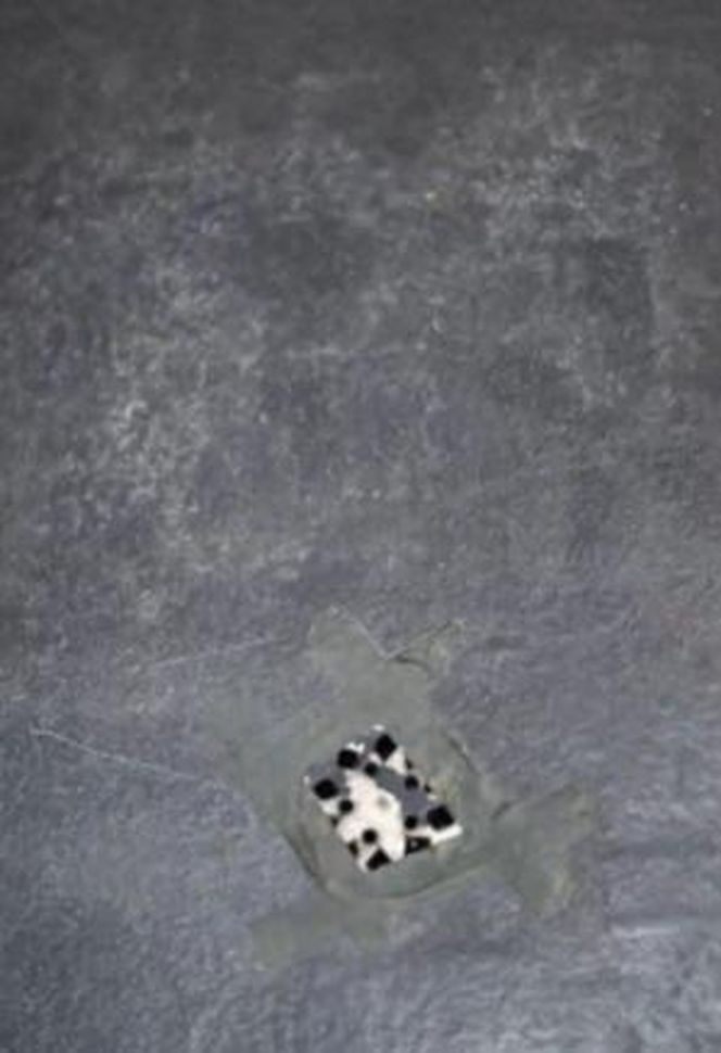 Szatnia Rayo Vallecano