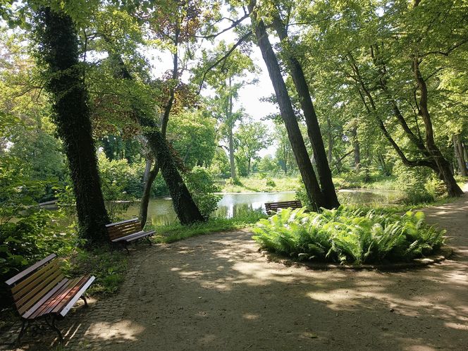 Parki podworskie w powiecie gdańskim