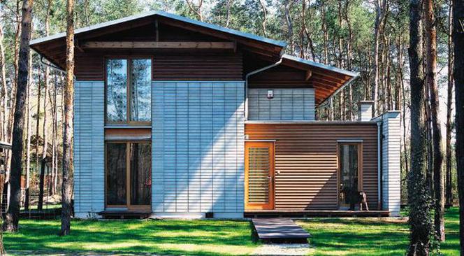 Piękne domy. Jak wybudować nowoczesny dom w lesie