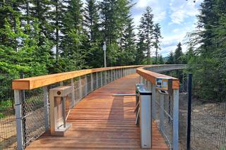 Ścieżka w koronach drzew - Ciężkowice