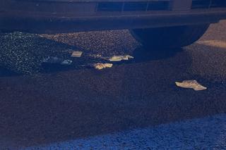 Miejski autobus potrącił pieszą na Gocławiu. Poszkodowana trafiła do szpitala