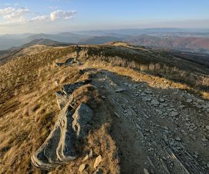 Tarnica z dzieckiem. Najkrótszy szlak na Tarnicę w Bieszczadach