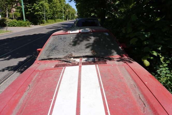 Porucony Ford Mustang przy ulicy Wołyńskiej w Poznaniu