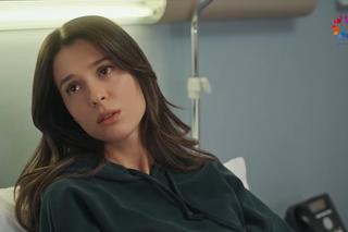 Złoty chłopak ciąża