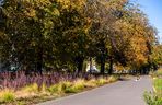 Park linearny na Bielanach w Warszawie