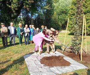 Trzy młode buki purpurowe na Skwerze Leśników Polskich wspólnie zasadzili pracownicy Nadleśnictwa Siedlce i Lasów Państwowych, władze miasta Siedlce i radni.