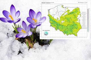 Eksperci IMGW pozbawili złudzeń co do pogody na Wielkanoc. Śnieg i plucha to dopiero początek!