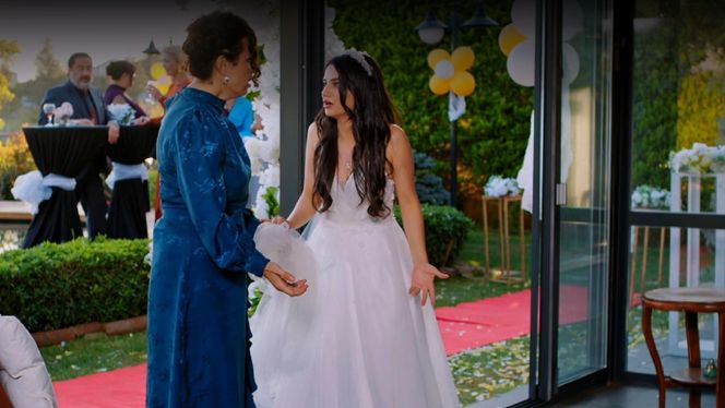 Miłość i nadzieja odc. 273. Bahar, Cavidan