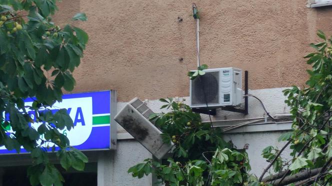 Powalone drzewo po burzy