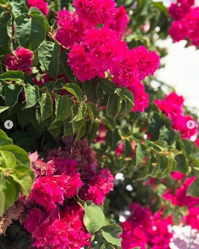 Raj na ziemi i naga Katarzyna Zielińska? Aktorka pokazała odważne zdjęcie z wakacji