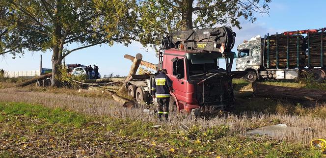 Olbrzymie kłody zablokowały drogę wojewódzką 163
