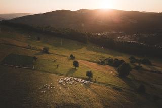 Ruszyła Polska Na Przełaj IV - śledź trasę Wędrownych Motyli pod naszym patronatem i poznawaj piękne miejsca w Polsce