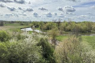 Pomysł na wycieczkę niedaleko Lublina. Zobaczcie zespół parkowo-pałacowy w Zawieprzycach