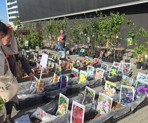 Jesienny Kiermasz Ogrodniczy w Bydgoszczy przyciągnął miłośników zieleni i smakołyków!