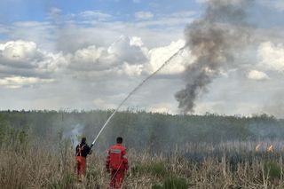 Wołomin: Płonie Natura 2000. Dym widać z wielu kilometrów