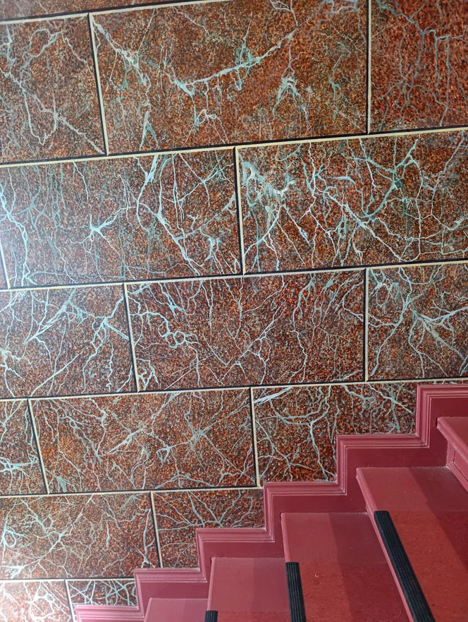 Renowacja kamienicy przy ul. Cybulskiego 19 we Wrocławiu