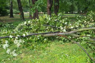 Skutki burzy w Rzeszowie