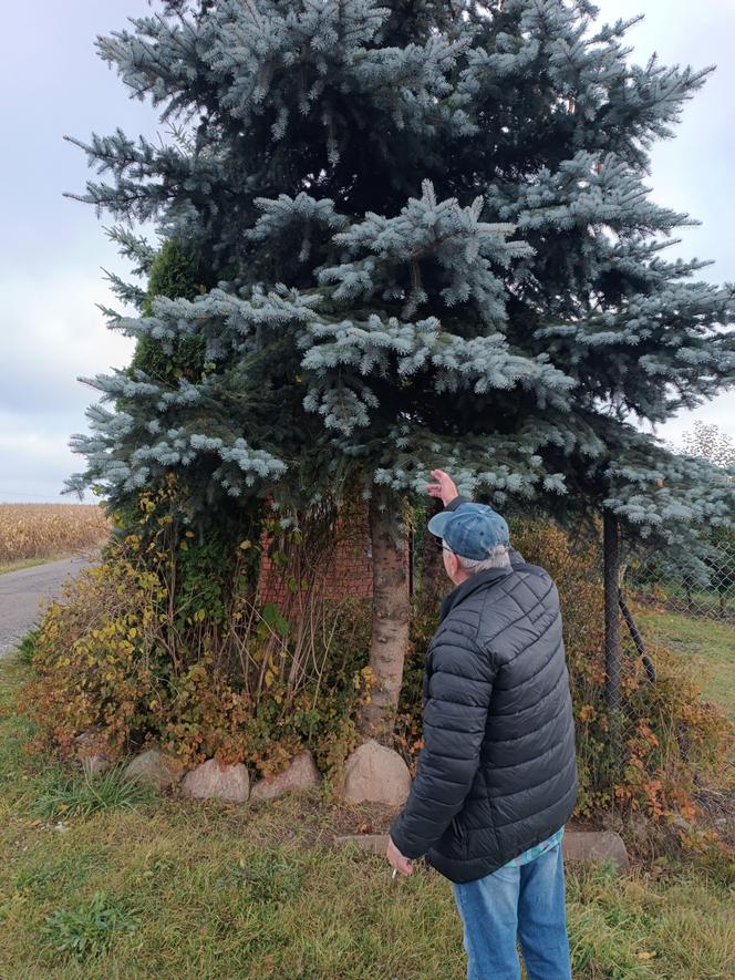 Gacek znalazł się w pułapce. Uratowała go suczka Roksana