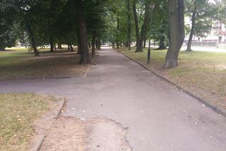 Park przy Dąbrowskiego w Rzeszowie