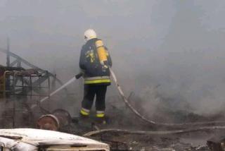 Dramat w Łódzkiem: Koń spłonął żywcem w ogromnym pożarze ośrodka wypoczynkowego!
