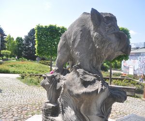 Pomnik Dzika Kiełka w Kielcach