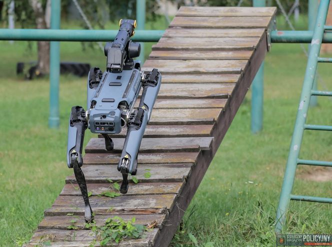 Ma cztery łapy, stalowe serce i właśnie podał łapę policjantowi. „Robopies” nowym hitem w służbach