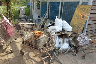 Klub Płetwonurków LOK Litoral zorganizował podwodne sprzątanie Zakrzówka