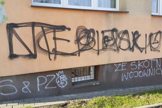 Czyszczenie Mysłowic z nielegalnego graffiti i wulgarnych napisów 