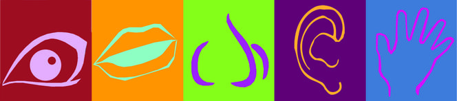Logo parku sensorycznego - pięć zmysłów