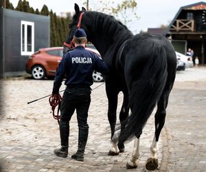 Śląska policja ma dwóch nowych funkcjonariuszy. To Donald i Rokita. Właśnie rozpoczęli szkolenie