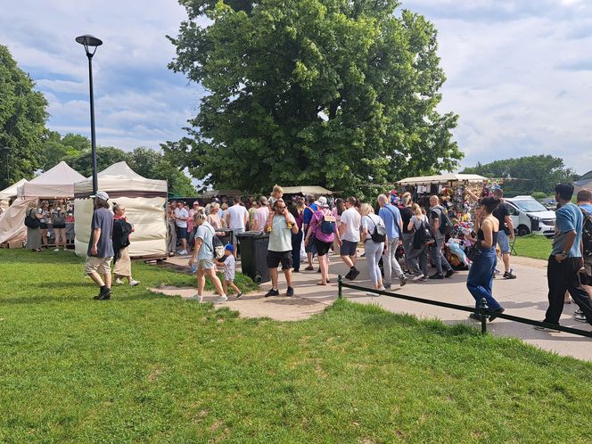 Smoczy Piknik Rodzinny 2025 w Krakowie