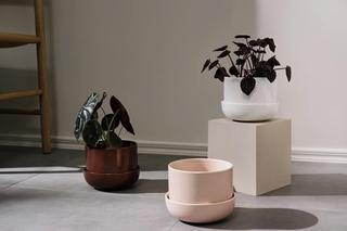 Ciekawe doniczki do domu