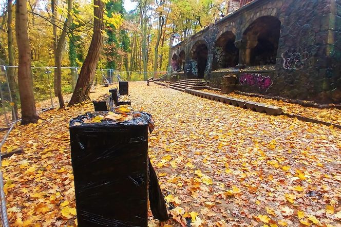 Porządkowanie terenu wokół wieży Quistorpa