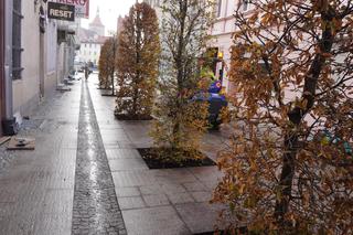 Alejka w centrum Olsztyna zmieniła się nie do poznania. Będzie najpiękniejsza w mieście? [ZDJĘCIA]