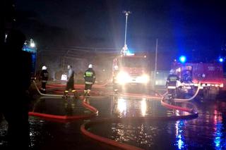 Tragiczny pożar we Wrocławiu. Cztery osoby nie żyją
