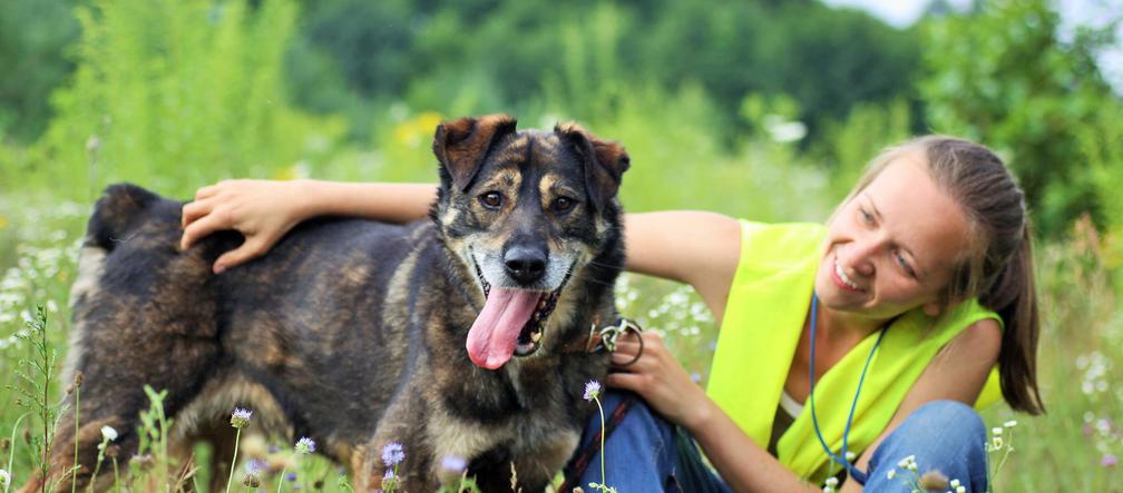 Morus czeka na nowy dom. Adoptuj psa ze schroniska w Białymstoku