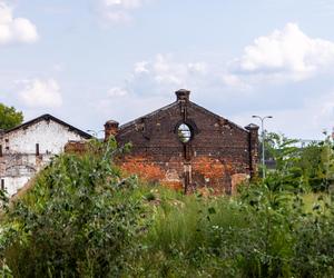 Drucianka Campus – inwestycja na terenie dawnej fabryki Drucianka