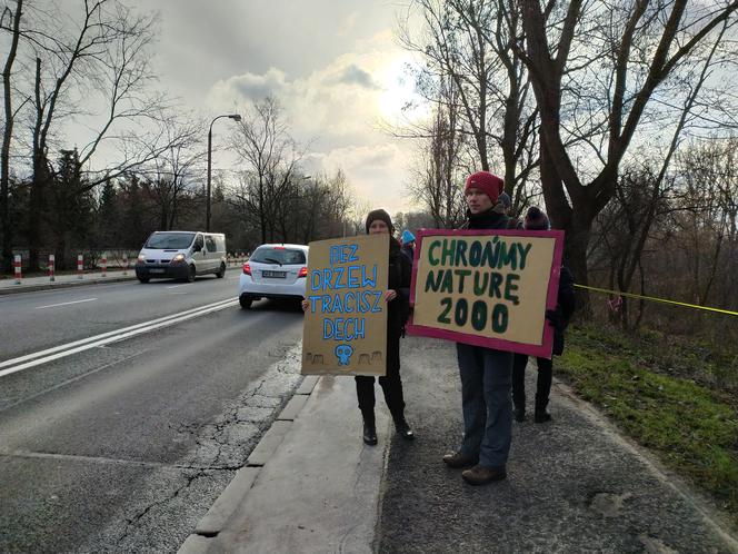 "Zostaniemy tu do marca". Aktywiści w obronie drzew nad Wisłą