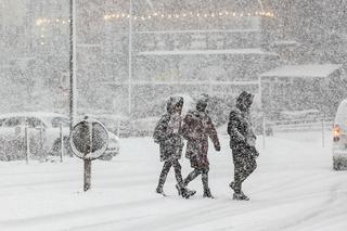 Atak zimy w Polsce 2021 - zawieje śnieżne, śnieg pół metra i MINUS 23 stopnie [PROGNOZA]