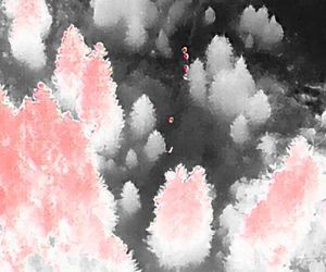 Dramatyczna akcja w Tatrach! Szukali go całą noc, a on? Prawda zaskakuje!